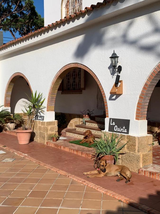 La Quinta - La Barrosa *